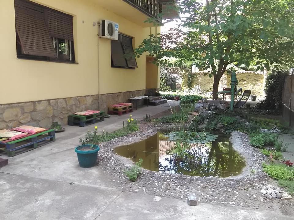 Smestaj U Okviru Domacinstva Sobe Sosa Palić المظهر الخارجي الصورة
